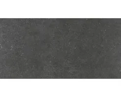 Wand- En Vloertegel Alpen Graphit 60x120 Cm Gerectificeerd