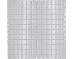 Glasmozaïek XCM 8SE03 Superwit 30x30 Cm