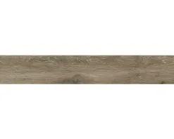 Wand- En Vloertegel Count Henna 20 X 120 Cm Gerectificeerd -Vloertegels Winkel DV 8 10390283 04 4c DE 20220824121753