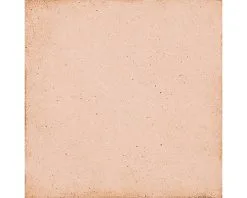 Wand- En Vloertegel Anuvo Coral Pink 20x20 Cm 8 Wand- En Vloertegel Anuvo Coral Pink 20x20 Cm -Vloertegels Winkel DV 8 10402593 03 4c NL 20210226153348