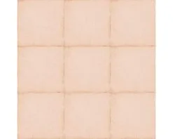 Wand- En Vloertegel Anuvo Coral Pink 20x20 Cm 9 Wand- En Vloertegel Anuvo Coral Pink 20x20 Cm -Vloertegels Winkel DV 8 10402593 04 4c NL 20210226153600