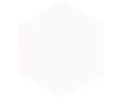 Wand- En Vloertegel Pinni White Hexagon 23x26,5 Cm