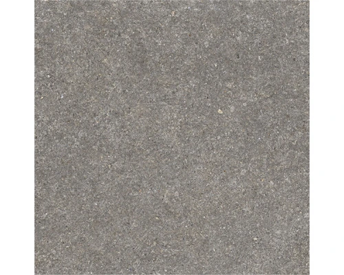 Wand- En Vloertegel Bulgaria Grey Mat 60,8x60,8 Cm 3 Wand- En Vloertegel Bulgaria Grey Mat 60,8x60,8 Cm