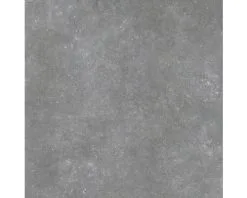 Wand- En Vloertegel Belstone Silver 60x60 Cm Gerectificeerd
