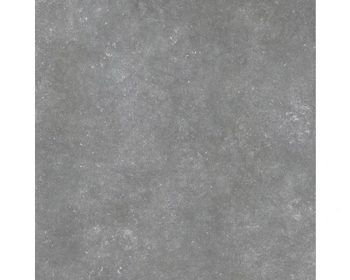 Wand- En Vloertegel Belstone Silver 60x60 Cm Gerectificeerd 3 Wand- En Vloertegel Belstone Silver 60x60 Cm Gerectificeerd