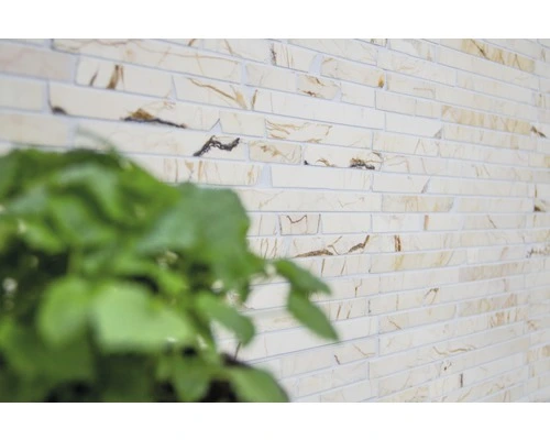 Natuursteen Mozaïek MOS Brick 2807 Beige/goud Mix 30,5x32,2 Cm 10 Natuursteen Mozaïek MOS Brick 2807 Beige/goud Mix 30,5x32,2 Cm - Afbeelding 8