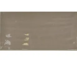 Wandtegel Artisan Vision 10x20 Cm