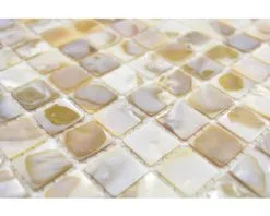 Schelp Mozaïek SM 203 Beige 30,5x30,5 Cm -Vloertegels Winkel DV 8 6236878 07 4c DE 20190103124653