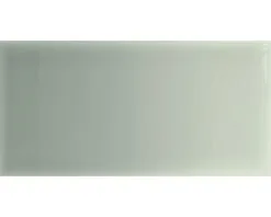 Wandtegel Verm C. Green 10x20 Cm