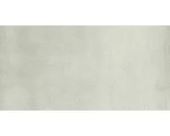 Wand- En Vloertegel Proton Blank 30x60,3 Cm