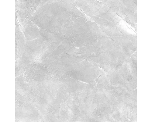 Wand- En Vloertegel Premium Marble Messina Grijs 60x60 Cm Gerectificeerd 3 Wand- En Vloertegel Premium Marble Messina Grijs 60x60 Cm Gerectificeerd