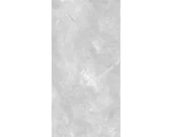 Wand- En Vloertegel Premium Marble Messina Grijs 60x120 Cm -Vloertegels Winkel DV 8 6404374 07 4c SE 20190515051652