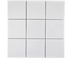 Keramisch Mozaïek CQ 100 Uni Wit Glans 30x30 Cm