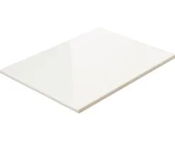 RAKO Wandtegel Wit Glans 19,8 X 24,8 Cm