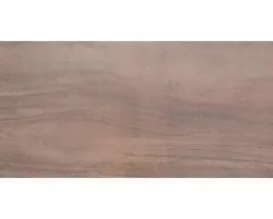 Wand- En Vloertegel Sahara Bruin Gepolijst 30x60 Cm