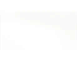 Wandtegel Glossy White 15x30 Cm -Vloertegels Winkel DV 8 8765113 01 4c SE 20190311104759