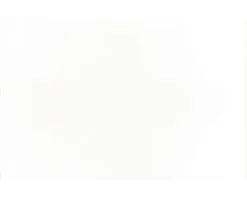 Wandtegel Glossy White 15x30 Cm -Vloertegels Winkel DV 8 8765113 03 4c SE 20171207123309